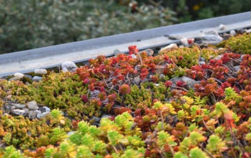 the cost of Middle Green green roof installation