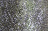 Middle Green fibreglass roof work